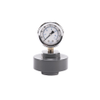 DIAPHRAGM SEALS -- PVC-0060-SS02-E50-SW - Image
