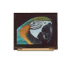 OLED Displays - 204620 - RS Components, Ltd.