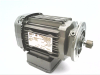 Motor - Radwell International