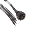 Circular Cable Assemblies - 17-2387101-1-ND - DigiKey