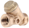 Pump Strainers & Filters -- 4582124 - Image