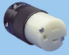 NEMA 5-15 Cable Mount Connector -- 88030110 - Image