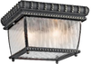 49136BKG Exterior -Ceiling Mount - 679636 - Capital Lighting, Inc.