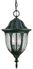 Exterior -Hanging - 207472 - Light Center (The)