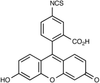 Fluorescein 5-Isothiocyanate, Isomer 1, 95% - 10275 - Medical Isotopes, Inc.