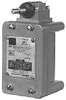 General/Heavy Duty Limit Switch -- 10316H2188 - Image