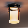 355796-17-G78 Exterior -Ceiling Mount - 698503 - Capital Lighting, Inc.