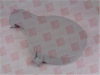 Protection Cover - 44943956 - Radwell International