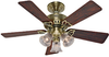 The Beacon Hill - 42" - 20430 - Hunter Fan Company
