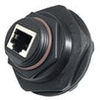 Modular Connectors / Ethernet Connectors - 1300580059 - VAST STOCK CO., LIMITED