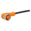 M12 Sensor cable ifm efector EVC048 - Automation24, Inc.