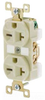 Duplex/Single Receptacle -- BRY5462 - Image