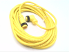QD Cable/Cord Set - Radwell International