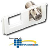 Siemon SM Bezel with 1 F-Type Coaxial Connector - SMC-1FA-02 - TelephoneStuff.com