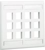 Vertical Faceplate, 12 Module, Ivory; Accessory Type Panduit - 84K3307 - Newark, An Avnet Company