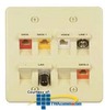Allen Tel Double Gang 45 Degree Angled Faceplate - AT45D-8 - TelephoneStuff.com