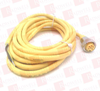 QD Cable/Cord Set - 3579664 - Radwell International