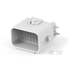 Rectangular Connector Housings - 1734-1743062-1-ND - DigiKey