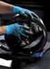 KleenGuard G10 Blue Nitrile Powder-Free Gloves > SIZE - M > UOM - 100/bx - 57372 - State Safety & Compliance