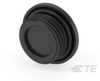 Cable Glands - 1SNG620051R0000 - TE Connectivity