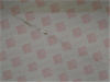 Lead/Probe - 79197699 - Radwell International