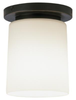 Z2058 Flush Mounts-Other - 455834 - Capital Lighting, Inc.