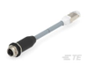 M8/M12 Cable Assemblies -- TCX38F2B804-995 - Image