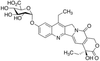 SN-38 Glucuronide - 30922 - Medical Isotopes, Inc.