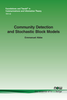 Community Detection and Stochastic Block Models