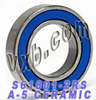 S61801-2RS Ceramic Bearing ABEC-5 - Kit8564 - NationSkander California Corporation