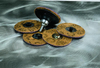 Scotch-Brite(TM) Roloc(TM) TR SE Surface Conditioning LS Disc, 3 in x NH A CRS 020592B, 100 per case - 048011-32743 - R. S. Hughes Company, Inc.