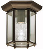 Exterior -Ceiling Mount - 256315 - Light Center (The)