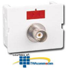 Siemon Flat Coax CT Coupler with 1 BNC Adapter - CT-BA-02 - TelephoneStuff.com
