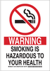 No Smoking Sign - 128113 - Brady Corporation