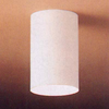9834WH Exterior -Ceiling Mount - 440555 - Capital Lighting, Inc.