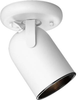 Semi-Flush Mts.-Spot Lights - 61201 - Light Center (The)