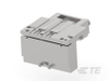 Applicators -- 2455295-1 - Image