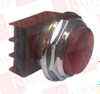 Pilot Light - 160464620 - Radwell International