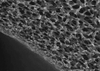 Capillary Membranes For Plasma Separation -- MicroPES® Primary Bundles