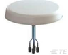 Antennas - CMQ69273P-30D43F - TE Connectivity