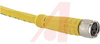 Cordset; 24 AWG; Female; 3 m; 4.4 mm (Outer); 4 A; 125 VAC/VDC - 70035956 - Allied Electronics, Inc.