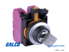 IDEC Selector Switches Non-Illuminated - CW4K-2BE21 - Galco Industrial Electronics