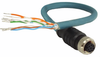Industrial Ethernet Cordsets - Image