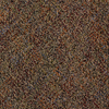 Impulse II Broadloom 2445 Carpet - Take A Trip 8400 - J+J/Invision