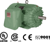 Explosion Proof Motors-Rigid Base, Rigid Base, 460 Volt Explosion Proof -- IXPEWWE25-12-324T