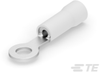 Ring Terminals & Spade Terminals - 150493 - TE Connectivity