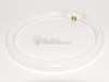 32 Watt, 9" Diameter Bright White T6 Circline Bulb -- TEC32032-51K - Image