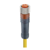 M8 Standard Sensor/Actuator Single-Ended Cordset: Female, - RKMV 3-341 - Belden Inc.