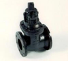 Gate Valves -- Double Disc Gate Valve