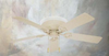 CN2-MS-188-52MS Fans-Ceiling Fans - 741441 - Capital Lighting, Inc.